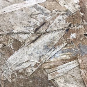 Meet your Posher, Jeffrey